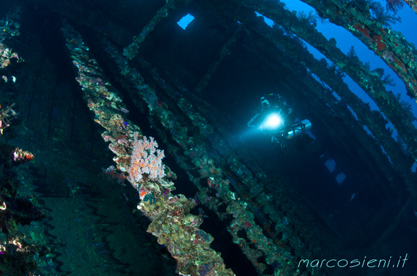 Carnatic wreck Abu Nuhass