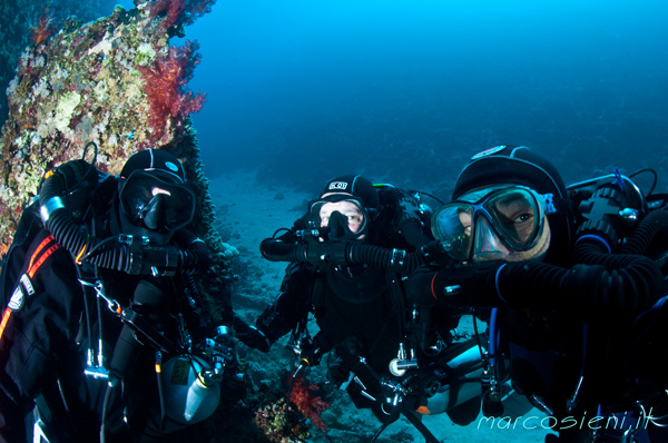 Three scuba friends in Carnatic wreck