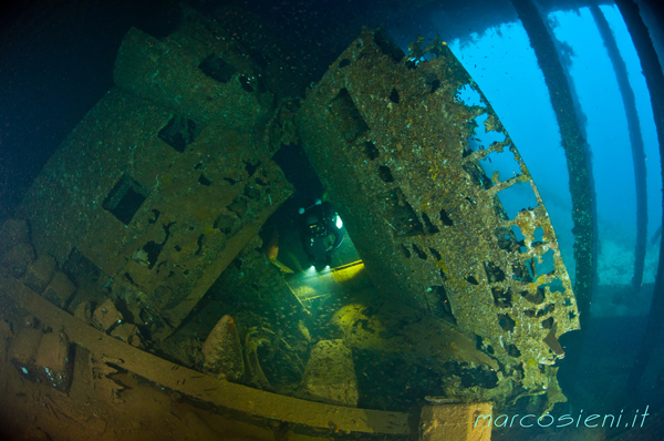 Showa/Nakajima L2D in Momokawa Maru hold Showa/Nakajima L2D in Momokawa Maru hold