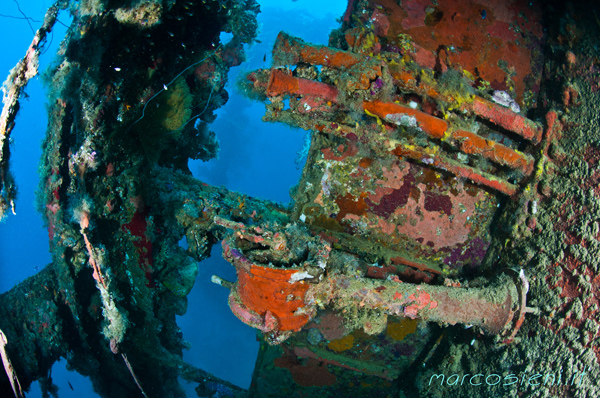 Momokawa Maru main deck